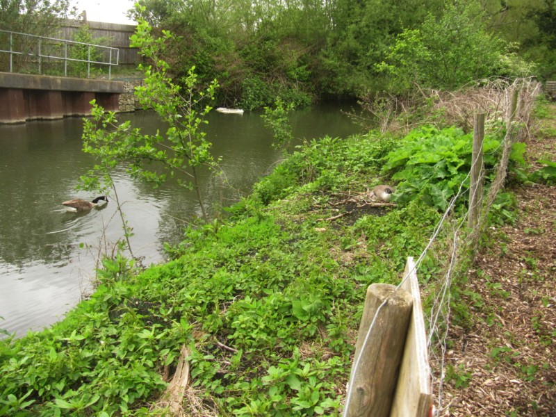 Bilder vom Campingplatz Oxford 1