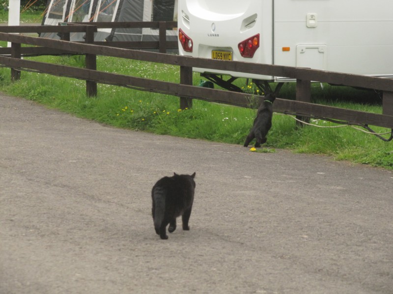 Bilder vom Campingplatz Oxford 4