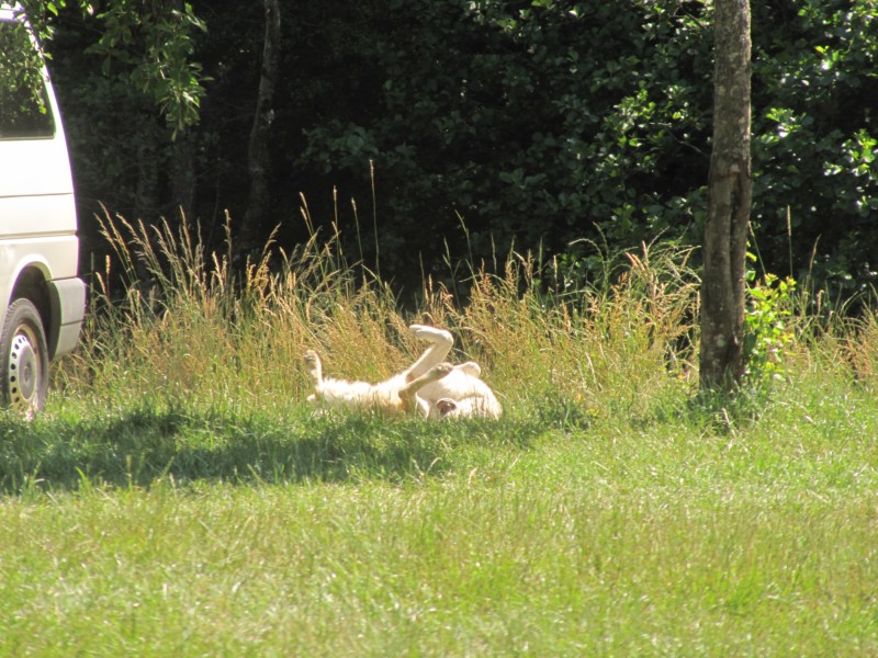 Bilder vom Campingplatz 2