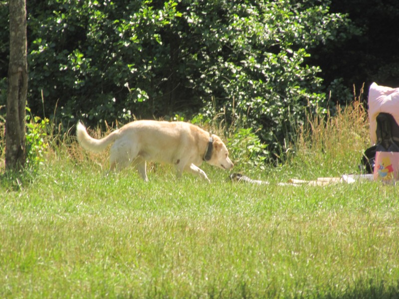 Bilder vom Campingplatz 3