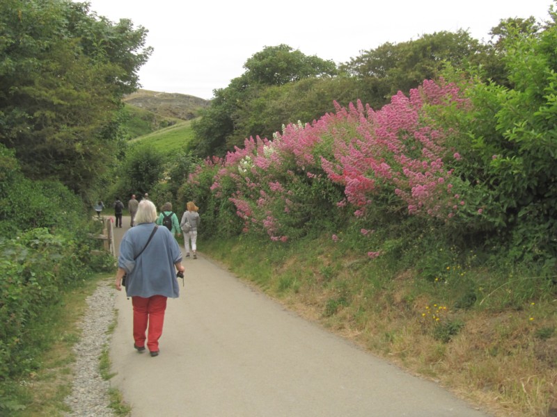 Bilder vom Besuch Tintagel Castle 1