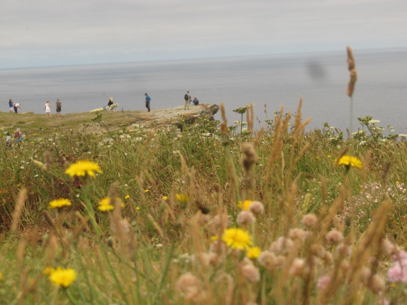 Bilder vom Besuch Tintagel Castle 22