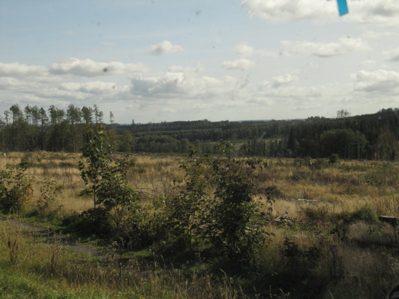 Harz ohne Bäume 1