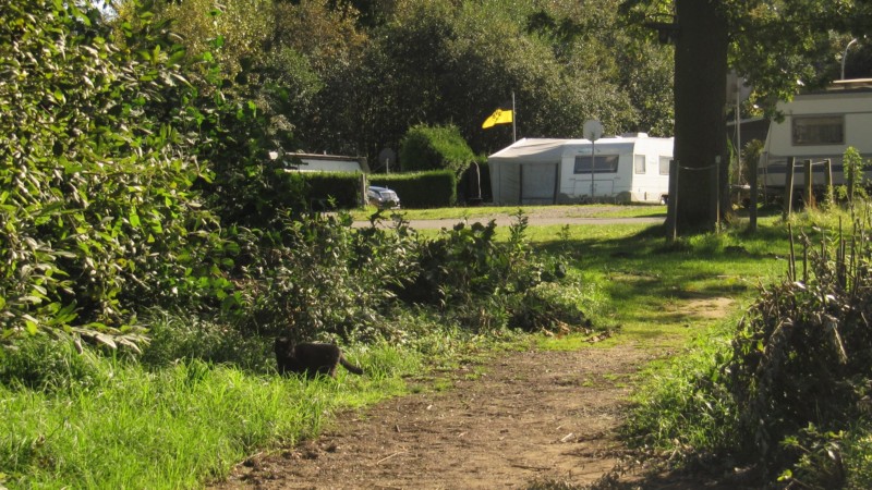 Campingplatz Möhnesee 3