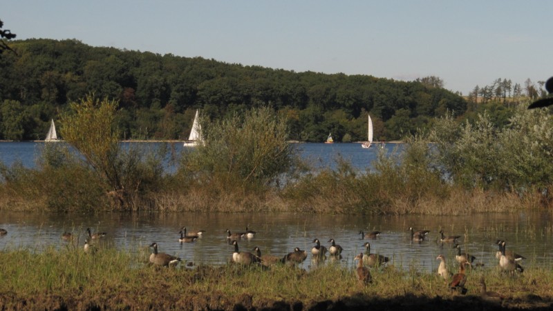 Campingplatz Möhnesee 5