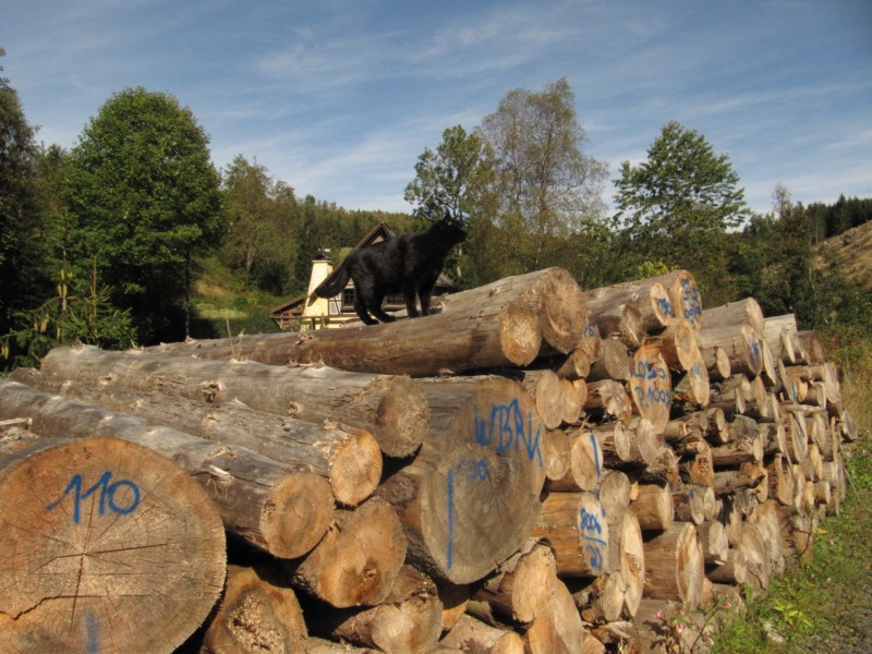 Pause an der alten Mühle 2