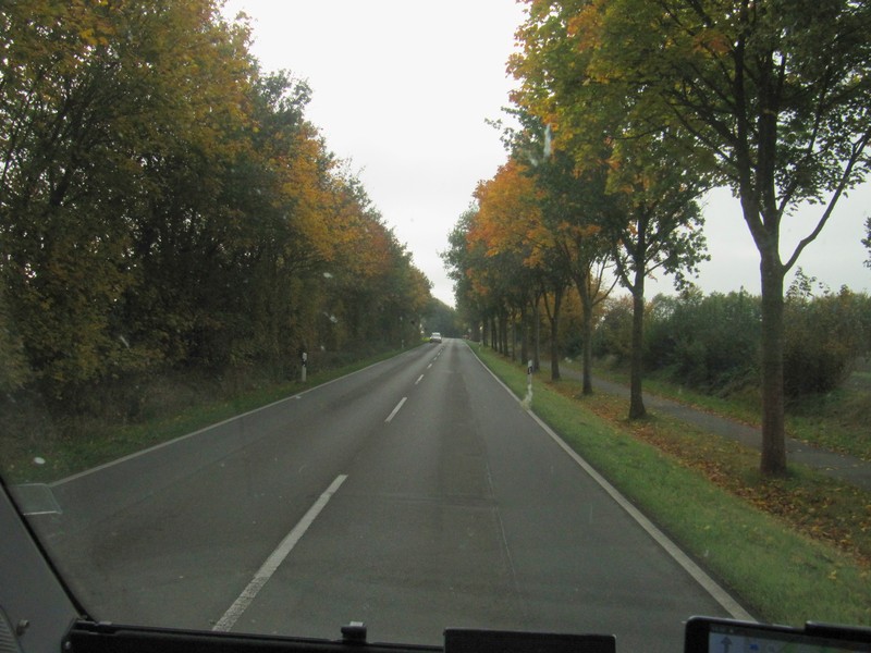 Herbstlich Allee