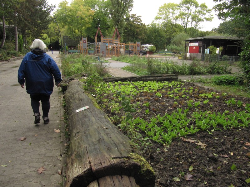 Bilder vom Revierpark Nienhausen 10