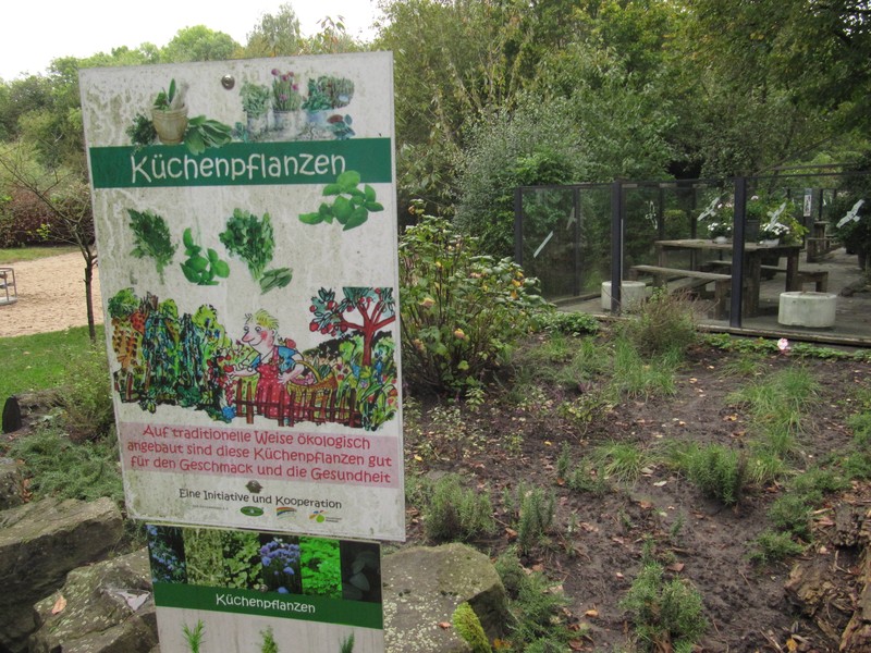 Bilder vom Revierpark Nienhausen 14