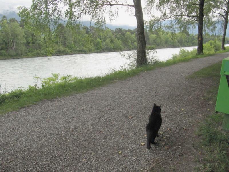 Bernstein am Rhein