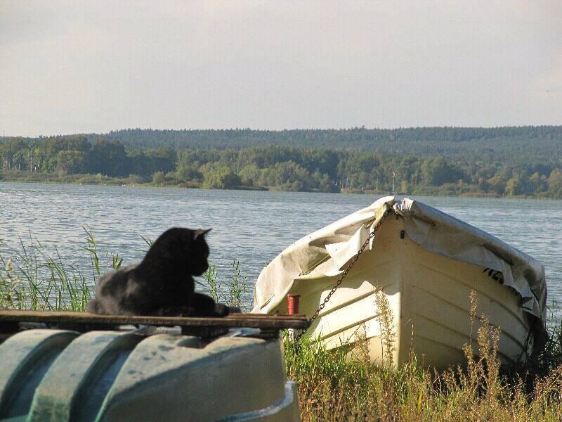 Bernstein am See auf Boot