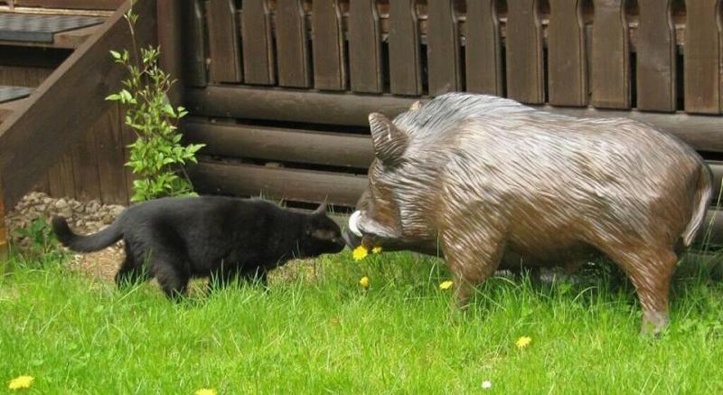 Bernstein und Kunstwildschwein